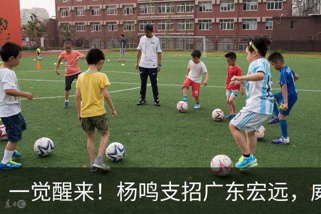 一觉醒来！杨鸣支招广东宏远，威姆斯毛遂自荐，宏远排名倒数第6！