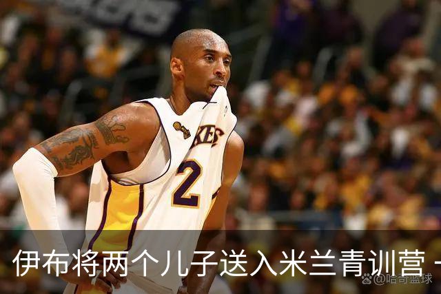 伊布将两个儿子送入米兰青训营 一个U17一个U15