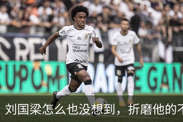 刘国梁怎么也没想到，折磨他的不是举报信，而是冷冰冰的WTTC报告