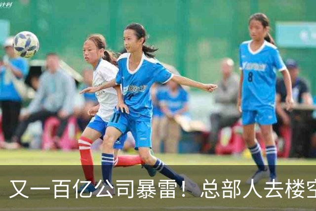 又一百亿公司暴雷！总部人去楼空，创始人失联被立案，谁来兜底？