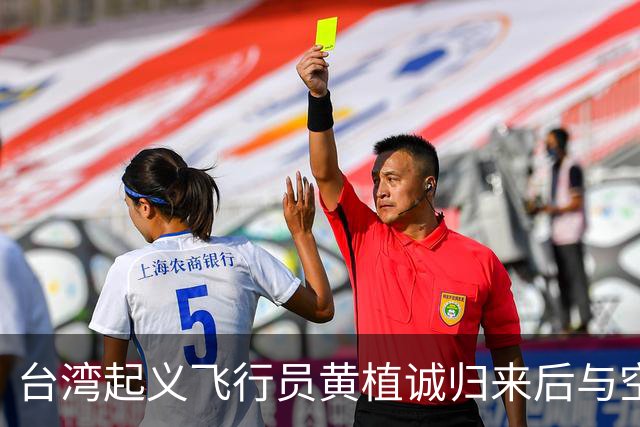 台湾起义飞行员黄植诚归来后与空姐马红成婚,可8年后马红赴美后失去联络，安保人员深夜封住住宅，不曾料到，卧室中竟搜出令人意外的物品！