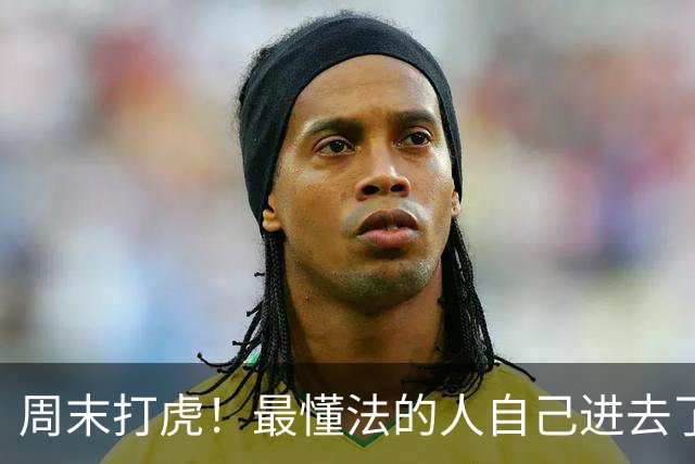 周末打虎！最懂法的人自己进去了，真让人笑话