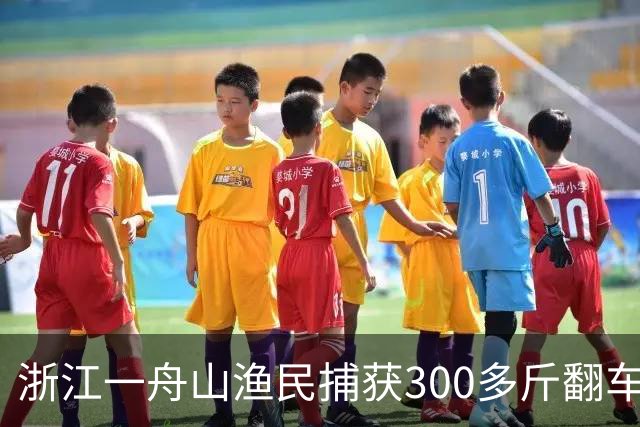 浙江一舟山渔民捕获300多斤翻车鱼，已放归大海