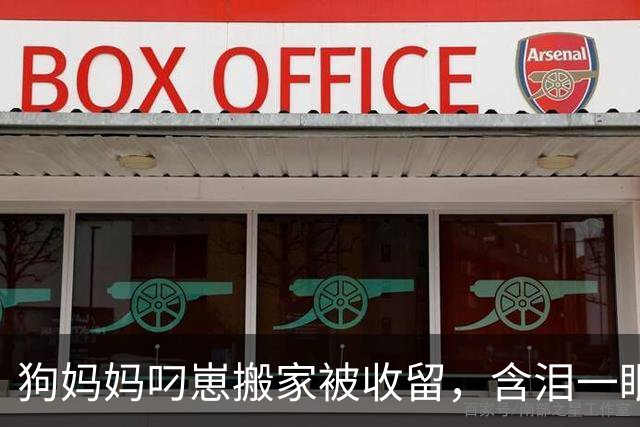 狗妈妈叼崽搬家被收留，含泪一眼看懂人心