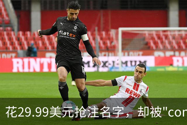 花29.99美元抢注名字，却被"con"三个字母拦在门外