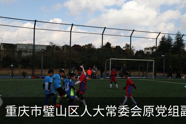 重庆市璧山区人大常委会原党组副书记朱朝阳被“双开”