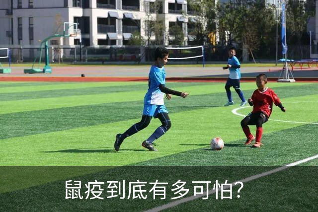 鼠疫到底有多可怕？