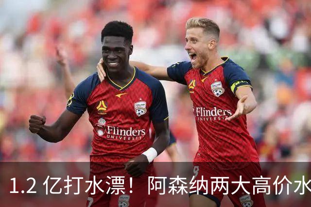 1.2 亿打水漂！阿森纳两大高价水货集体崩盘！昔日王牌铁心离队